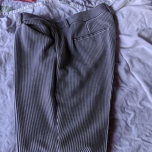 Express Columnist Dress Pant.